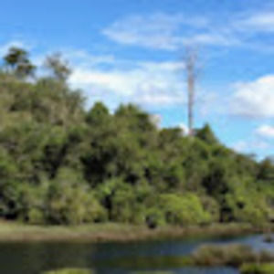 Meet your Posher, Orena